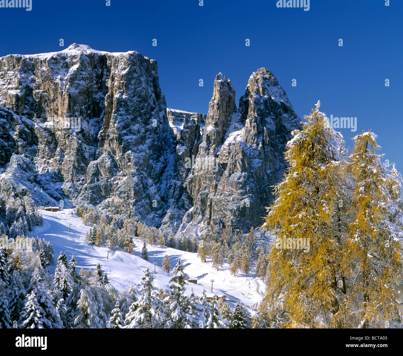 Mt. Schlern, Seiseralm mountain pasture, larches, winter, Dolomites, South Tyrol, Italy, Europe Stock Photo
