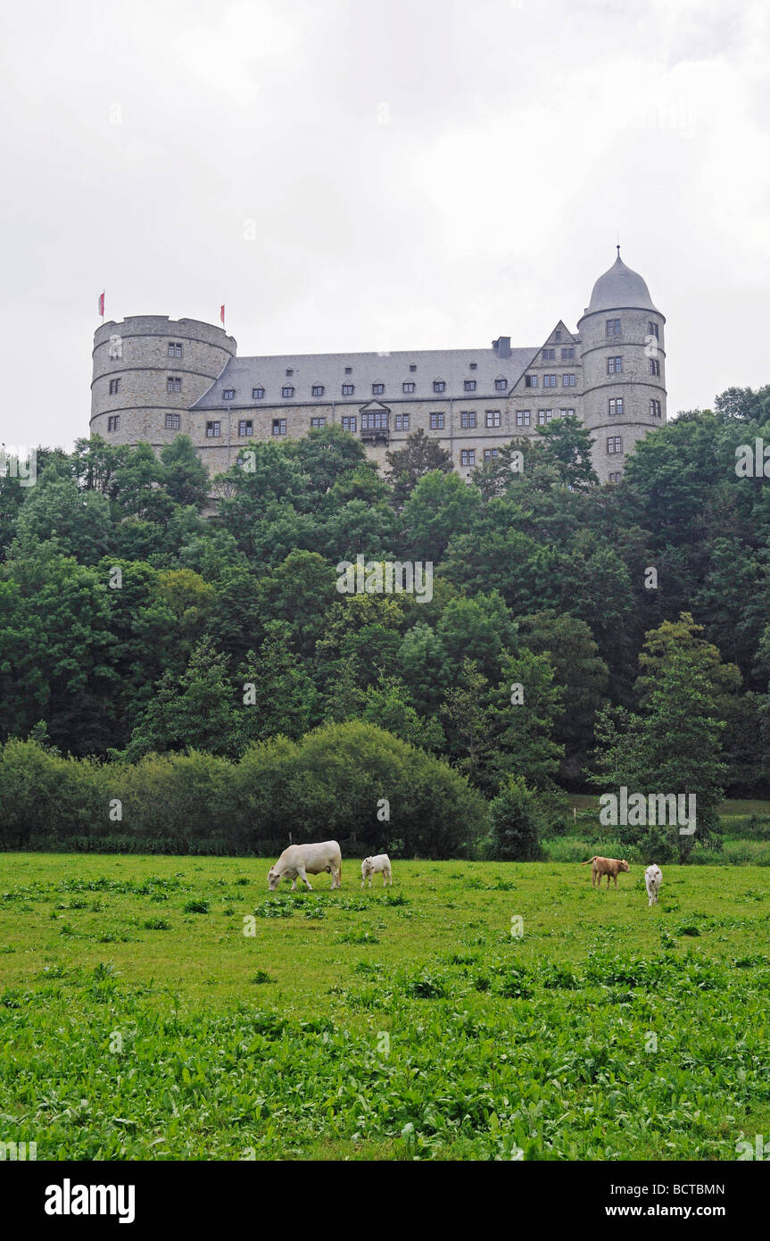 Overview, landscape, Wewelsburg, triangular castle, former Nazi cult ...