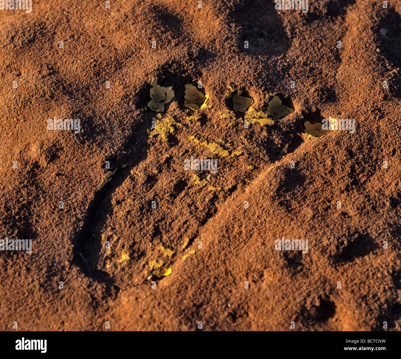 Marker, footprint, Canyon de Chelly National Monument, Arizona, USA Stock Photo