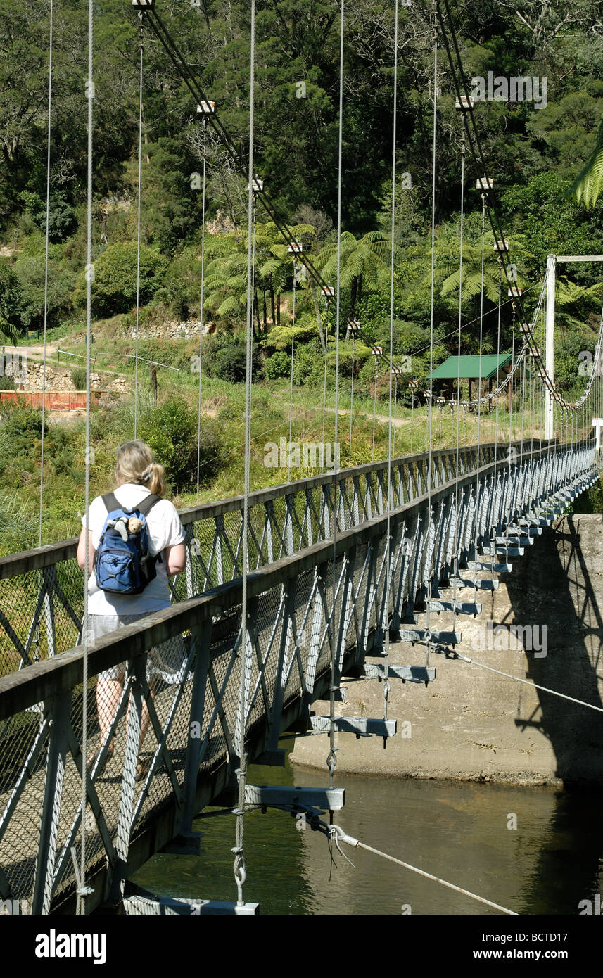 Footbridge over the Karangahake Gorge, New Zealand Stock Photo