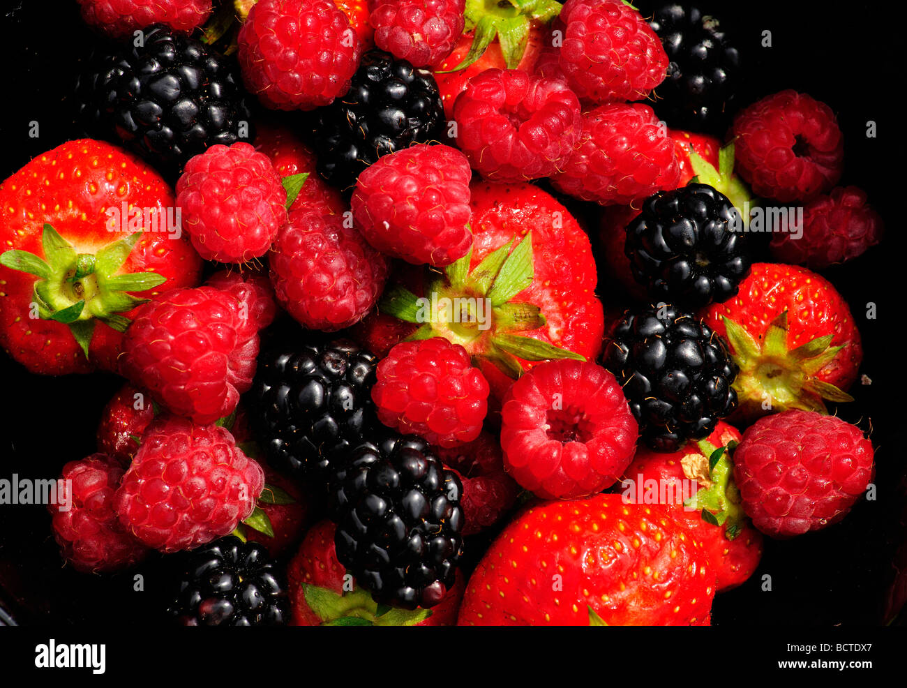 Strawberries, raspberries and blackberries Stock Photo