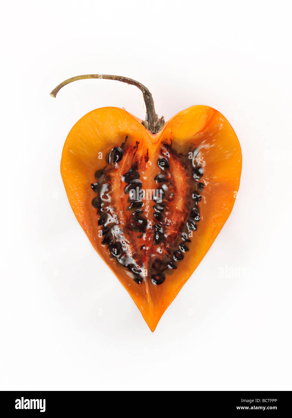 Tamarillo (Solanum betaceum, syn. Cyphomandra betacea), heart-shaped Stock Photo