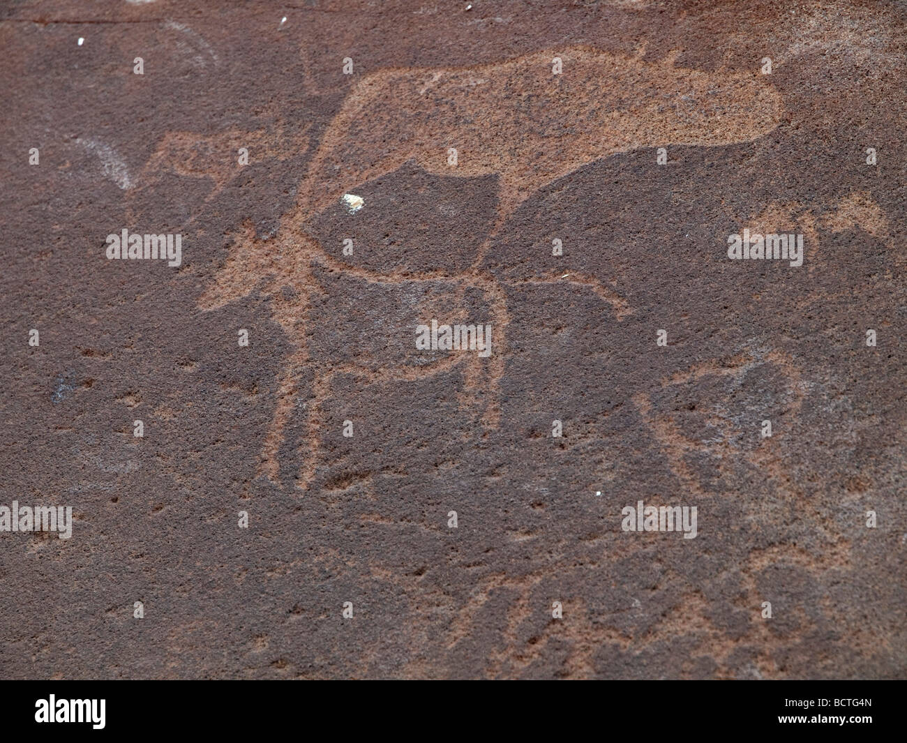 Petroglyphs in Twyfelfontein, Namibia, Africa Stock Photo