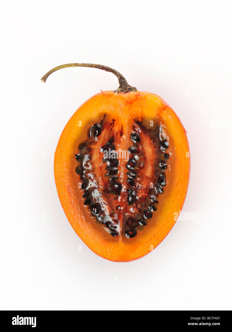 Tamarillo (Solanum betaceum, syn. Cyphomandra betacea) Stock Photo