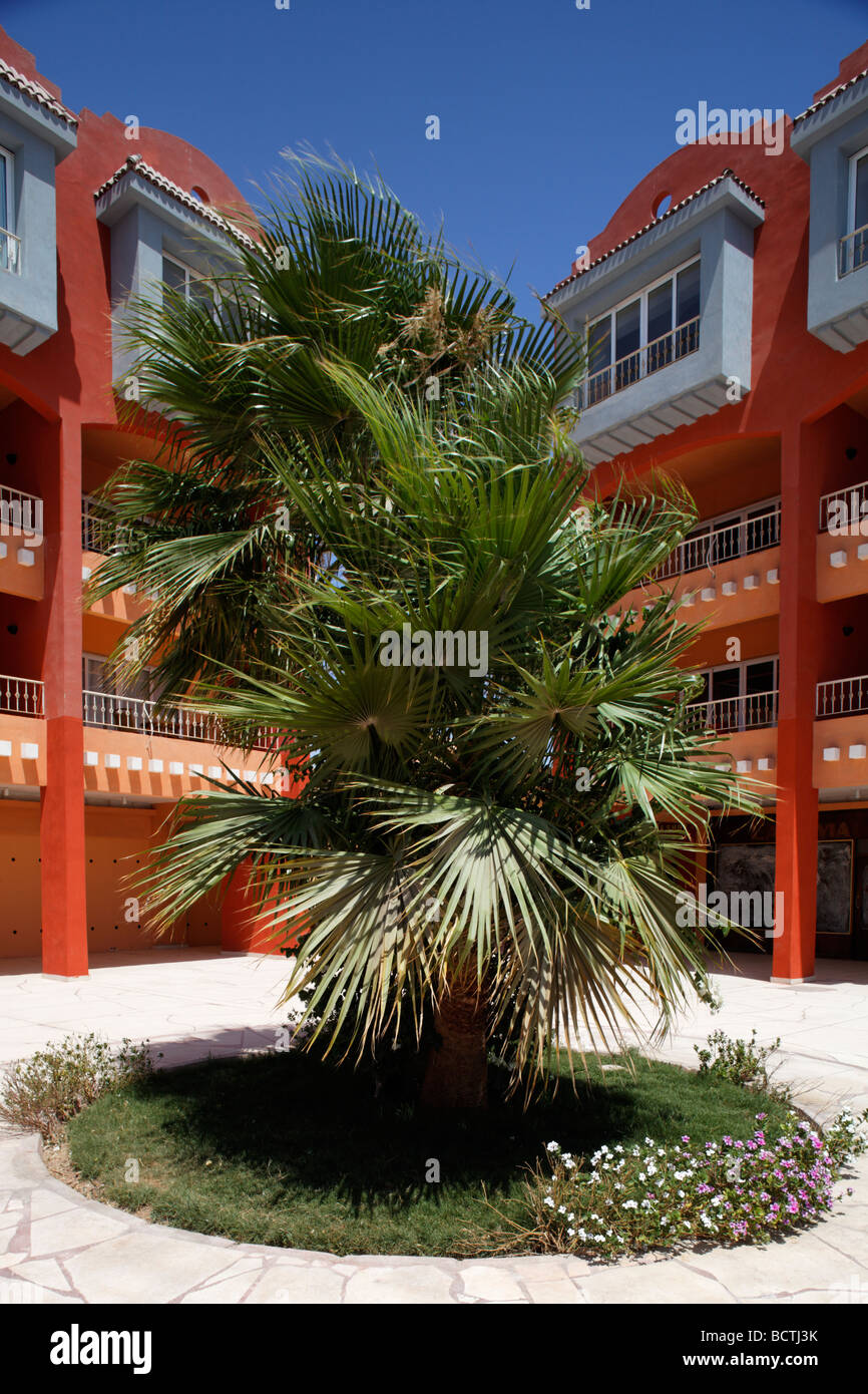 Houses, palm tree, Hurghada, Egypt, Red Sea, Africa Stock Photo