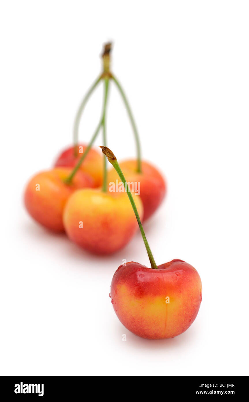 Rainier Cherries (white cherries) Stock Photo