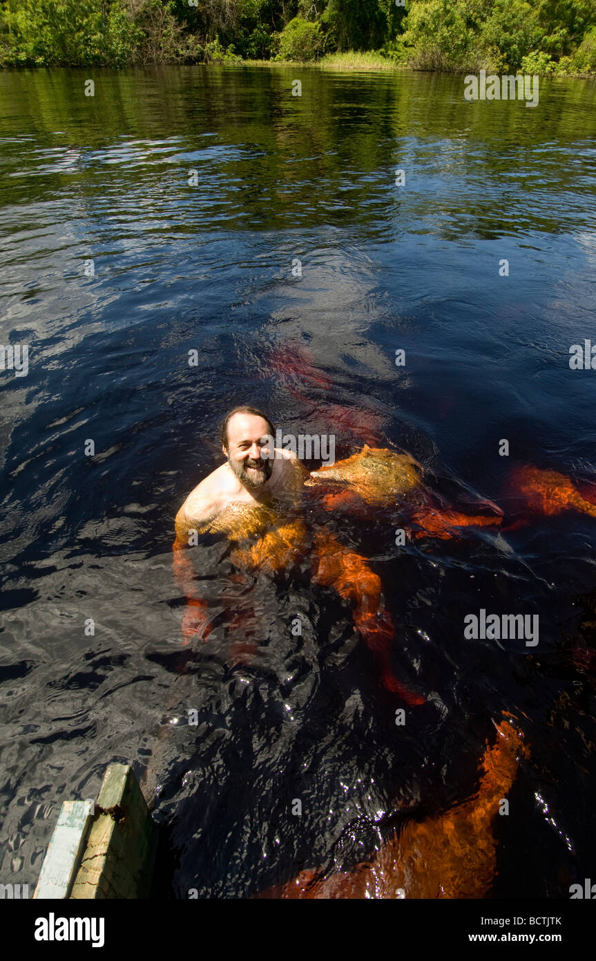 Man swimming in amazon river hires stock photography and images Alamy