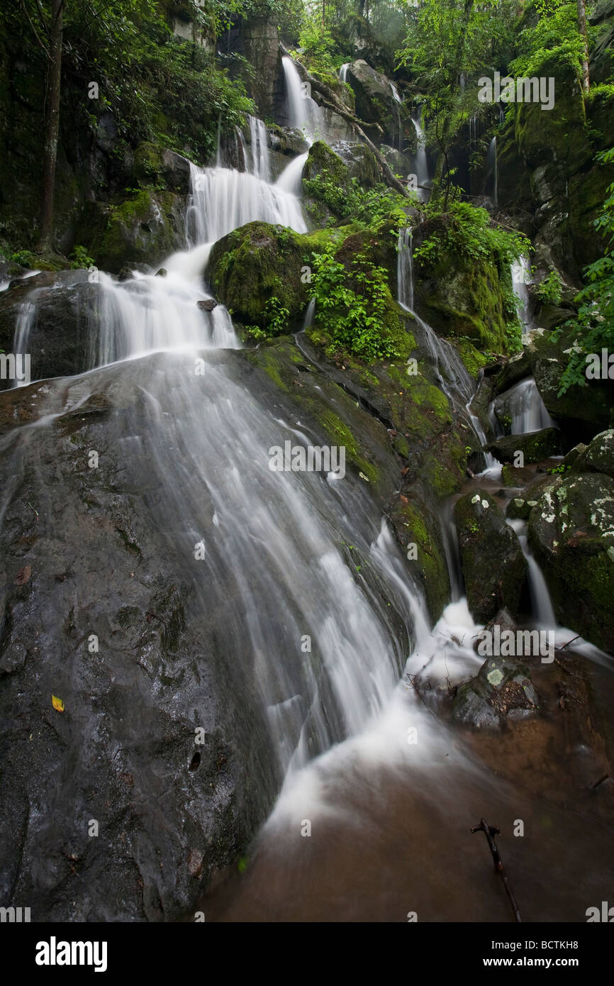 Place of a Thousand Drips Great Smoky Mountains National Park Stock Photo