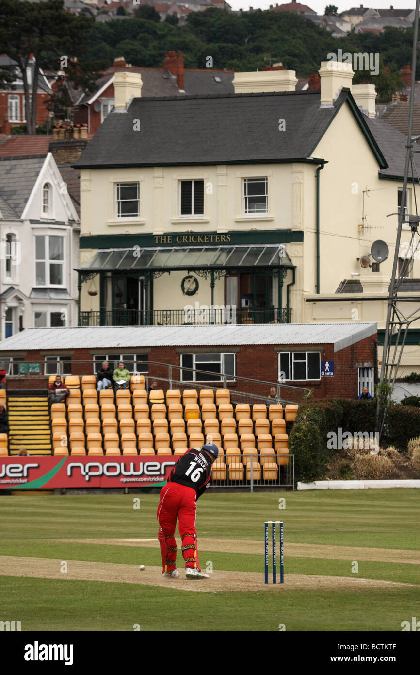 One-Day Cricket at St. Helen's, Swansea, West Glamorgan, Wales, U.K. Stock Photo