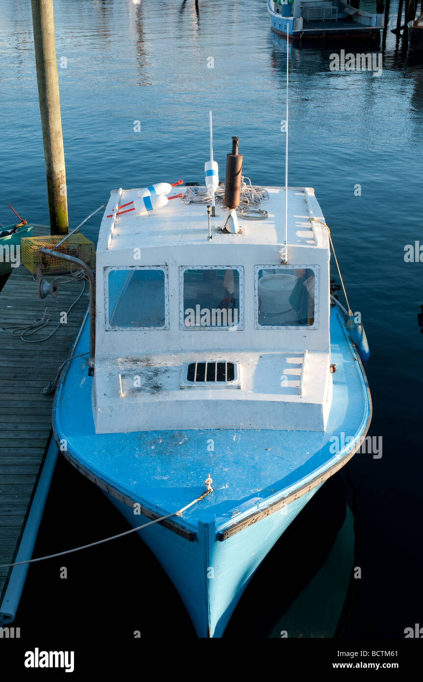 Blue lobster hires stock photography and images Alamy