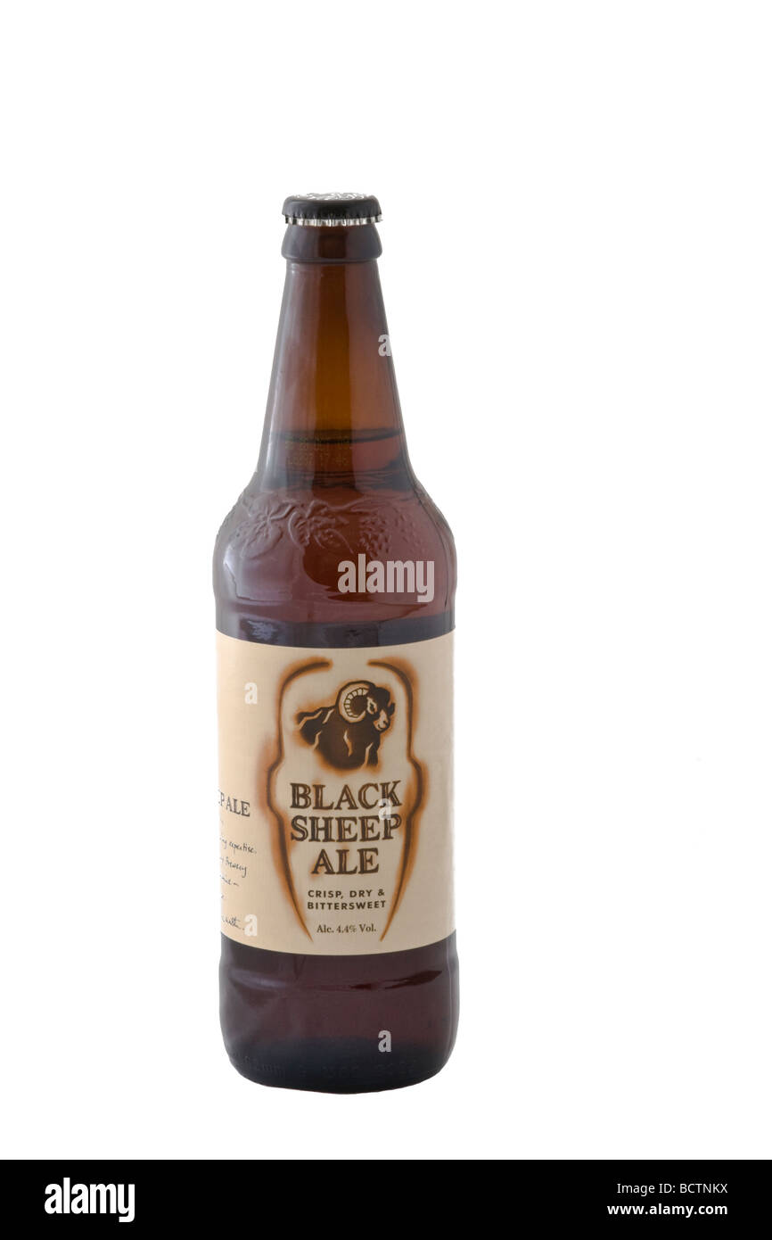 Bottle of Black Sheep Ale brewed in Masham, Yorkshire, by the Black Sheep Brewery Plc Stock Photo