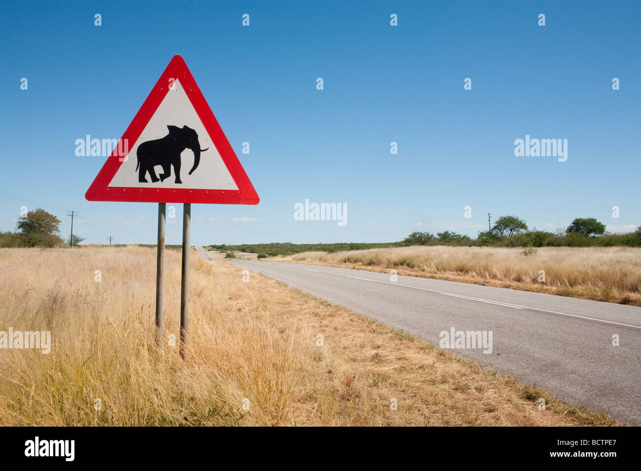 Elephant road sign Damaraland Kunene region Namibia Stock Photo
