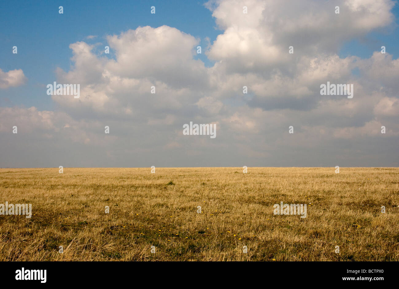 Open South Downs grassland in the spring Stock Photo Alamy