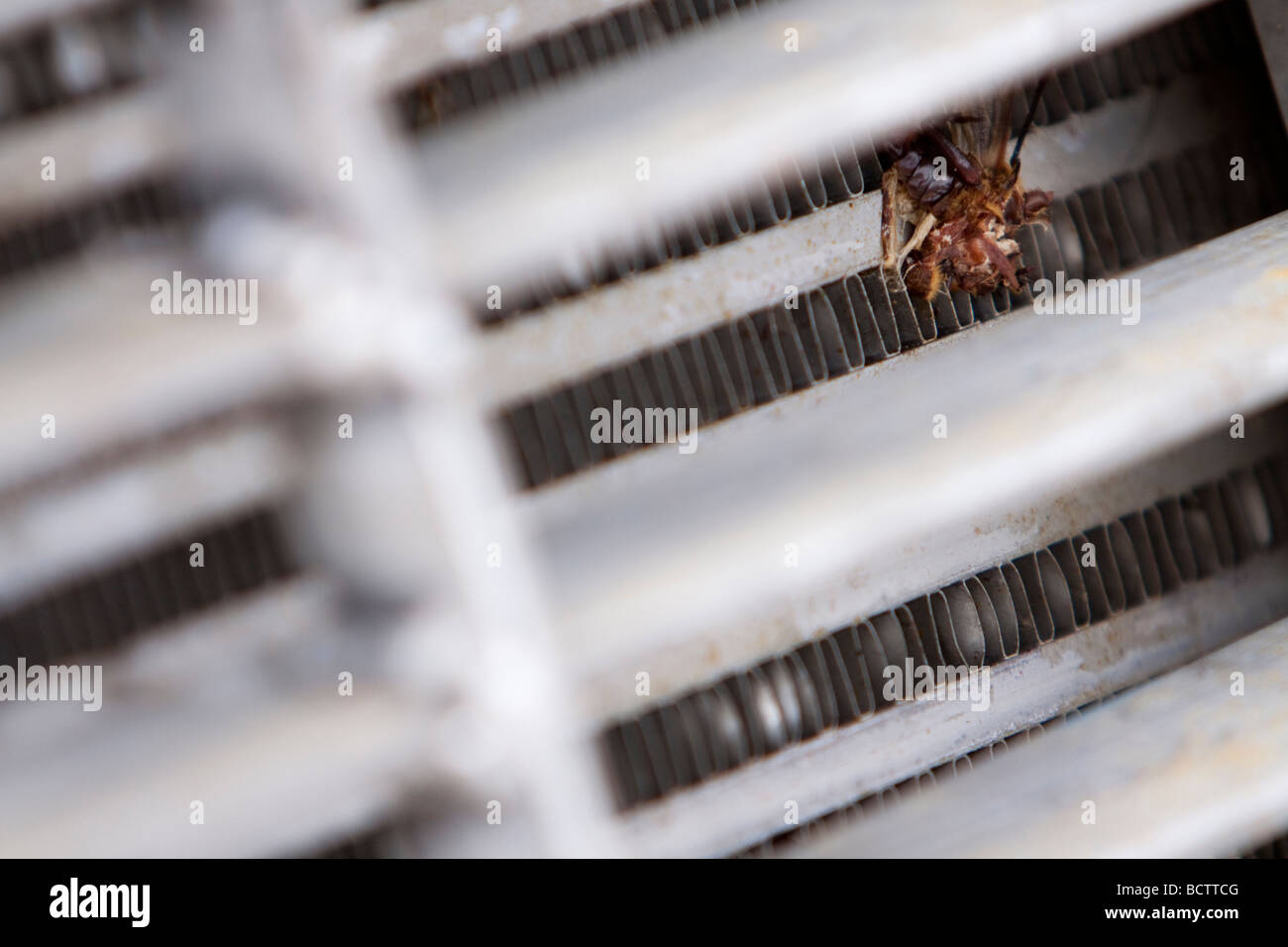 A bug splattered against the grill of the Tornado Intercept Vehicle 2 in Salina Kansas June 3 2009 Stock Photo