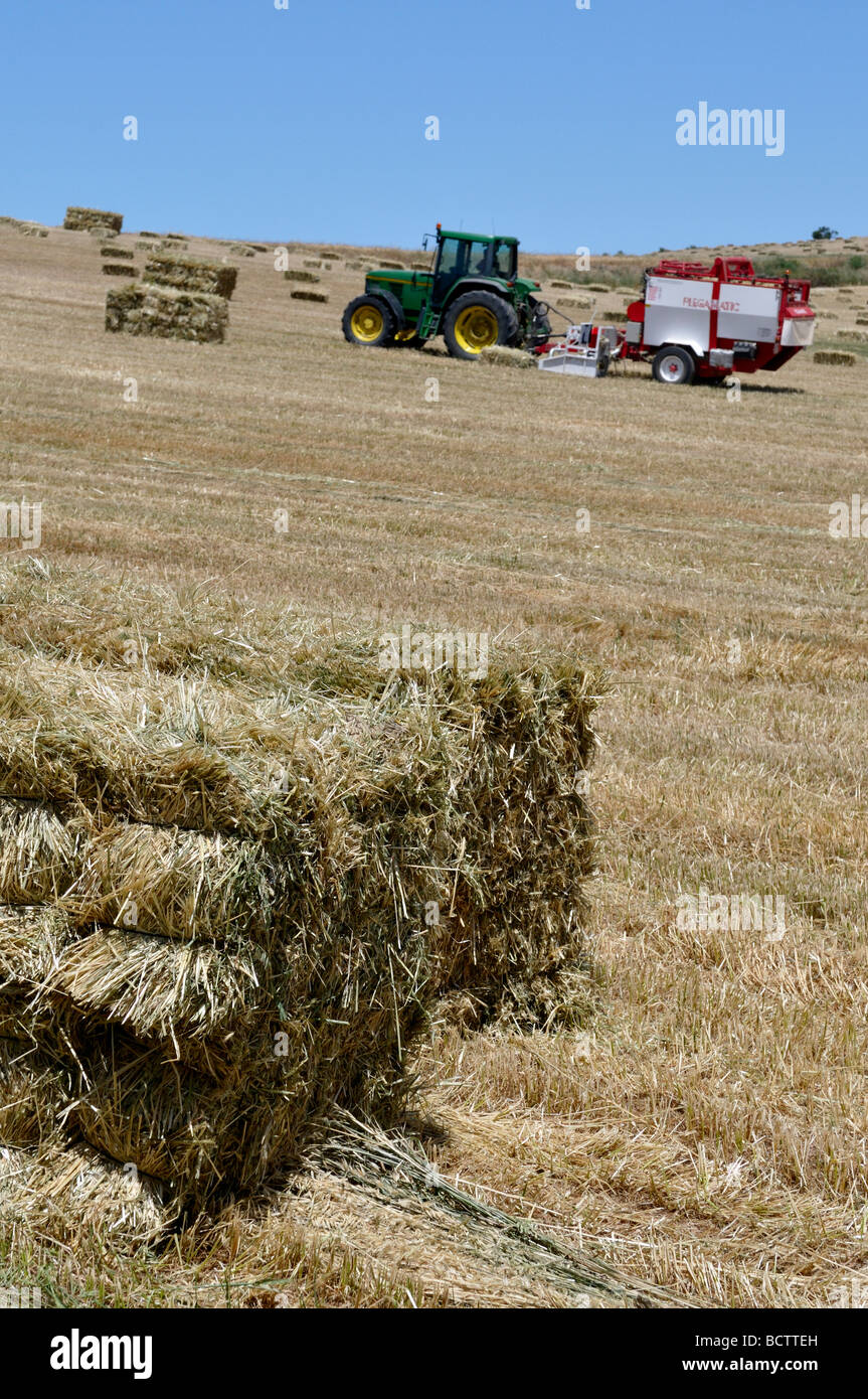 Tractor in field of straw baling small straw bales into larger ones at harvest time Stock Photo