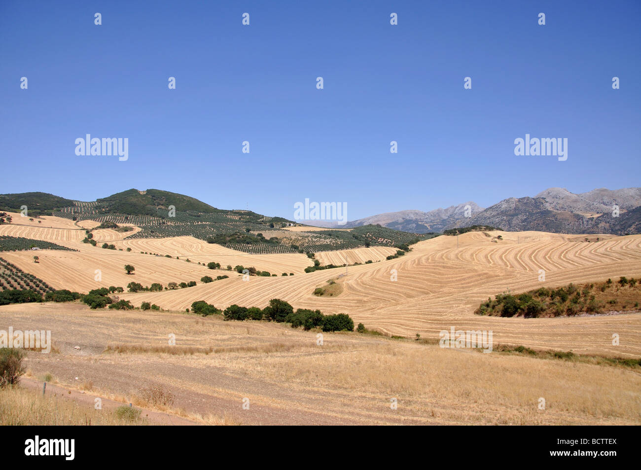 Sierra de las Cabras near Antequera, Malaga Province, Andalusia, Spain Stock Photo