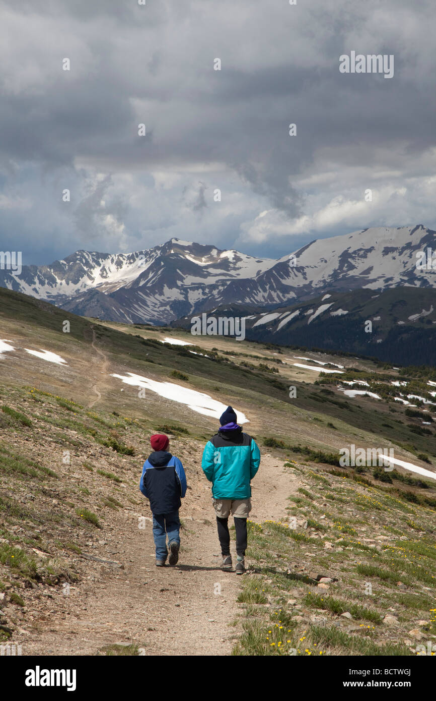 Tundra above tree line on mountain hi-res stock photography and images ...