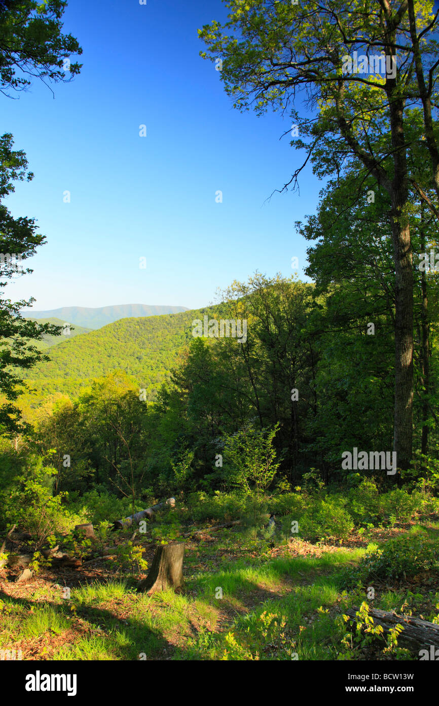 Shenandoah Mountain Trail Shenandoah Mountain West Augusta Virginia