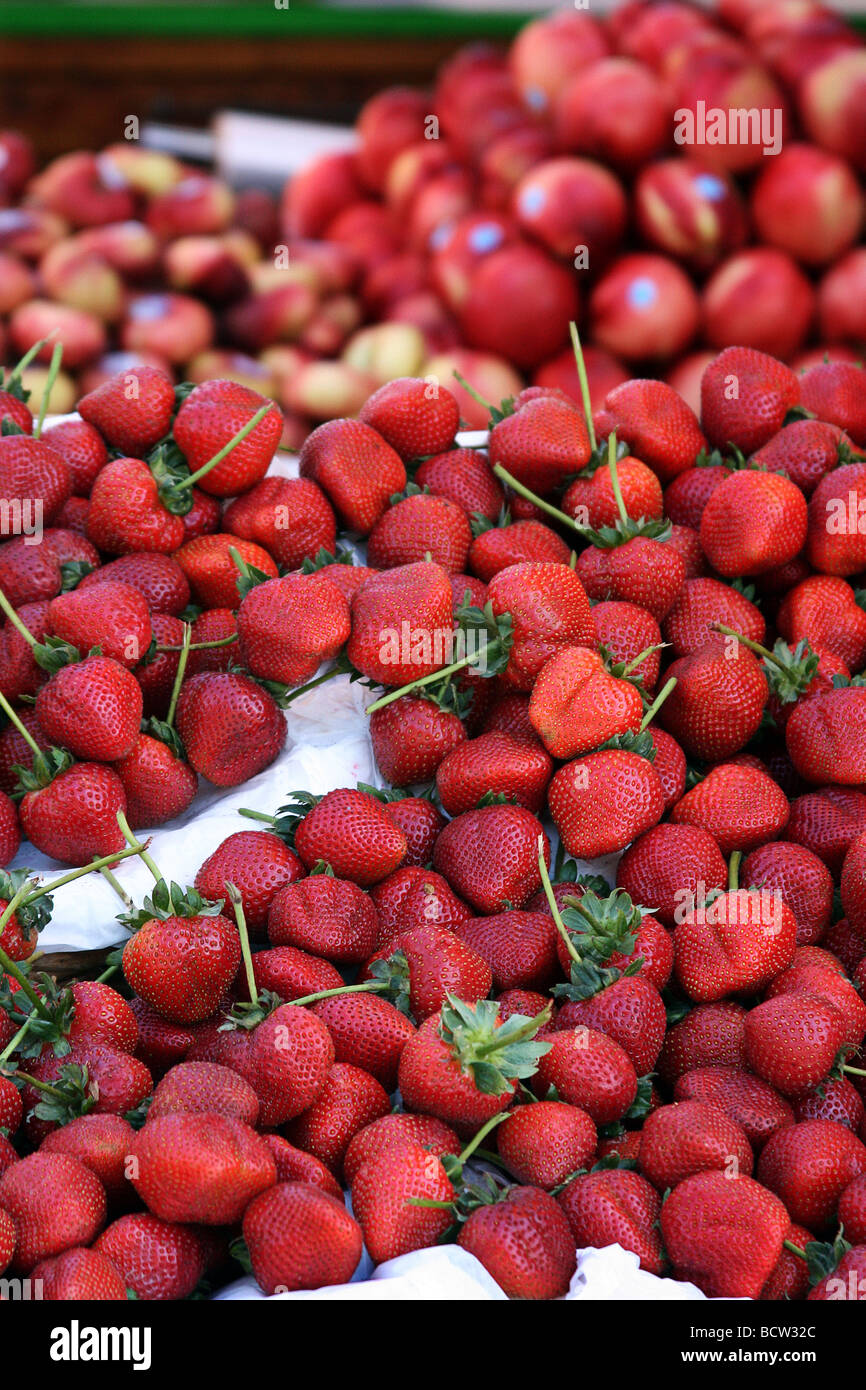 Fruit san francisco pier 39 california health healthy eating vitamins