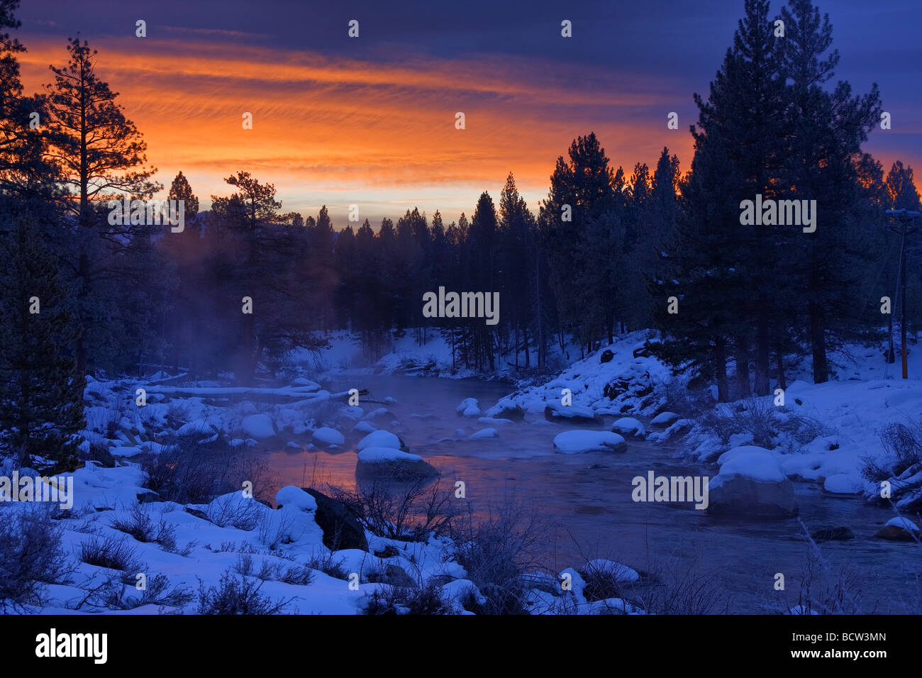 Silhouette of trees at the riverside during sunrise, Truckee River, California, USA Stock Photo