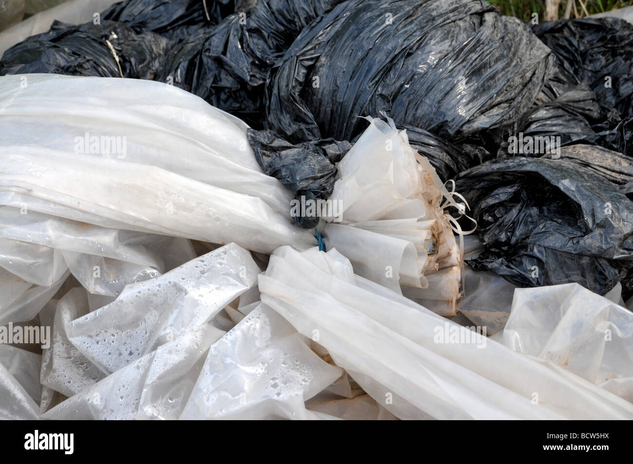 Closeup of a black and a white refuse bag tied together and lying in a heap. Stock Photo