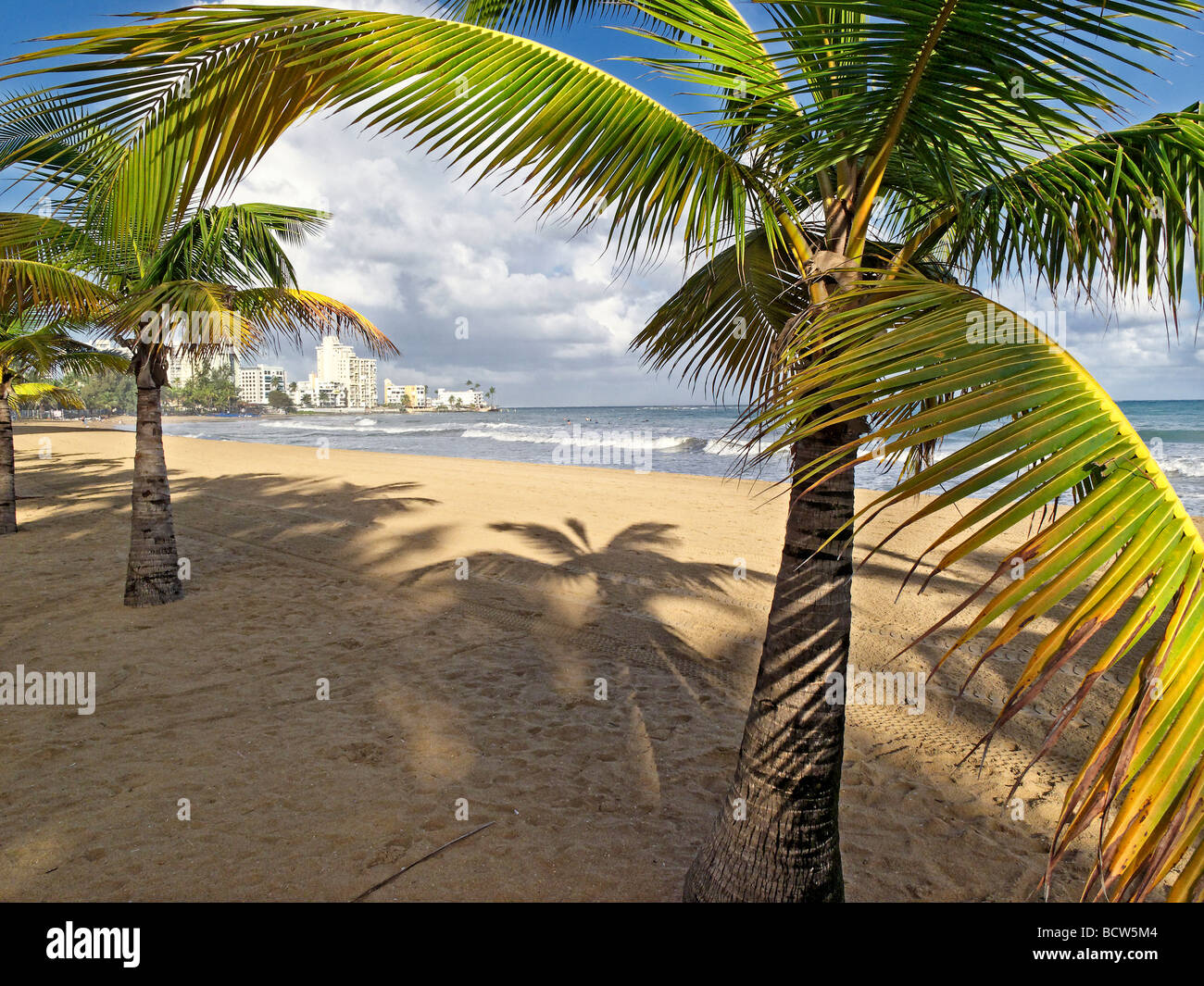 View of a Palm Covered Beach with City Skyline, Isla Verde, Puerto Rico Stock Photo