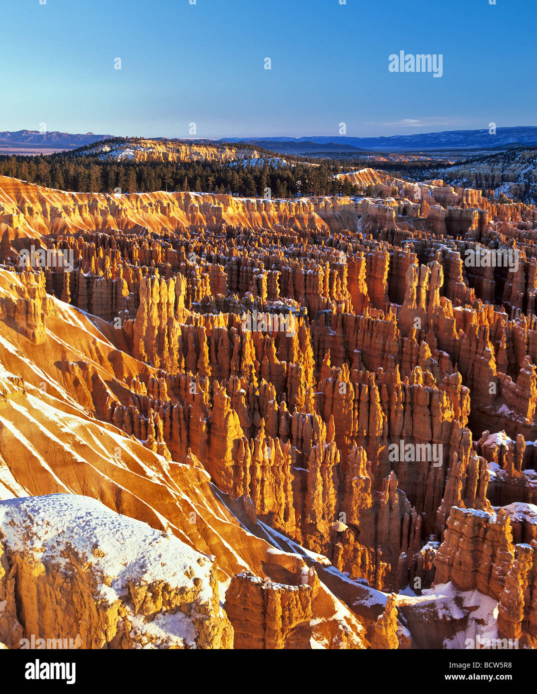 Amphitheater, Bryce Canyon National Park, erosion, fresh snow, Utah, USA Stock Photo