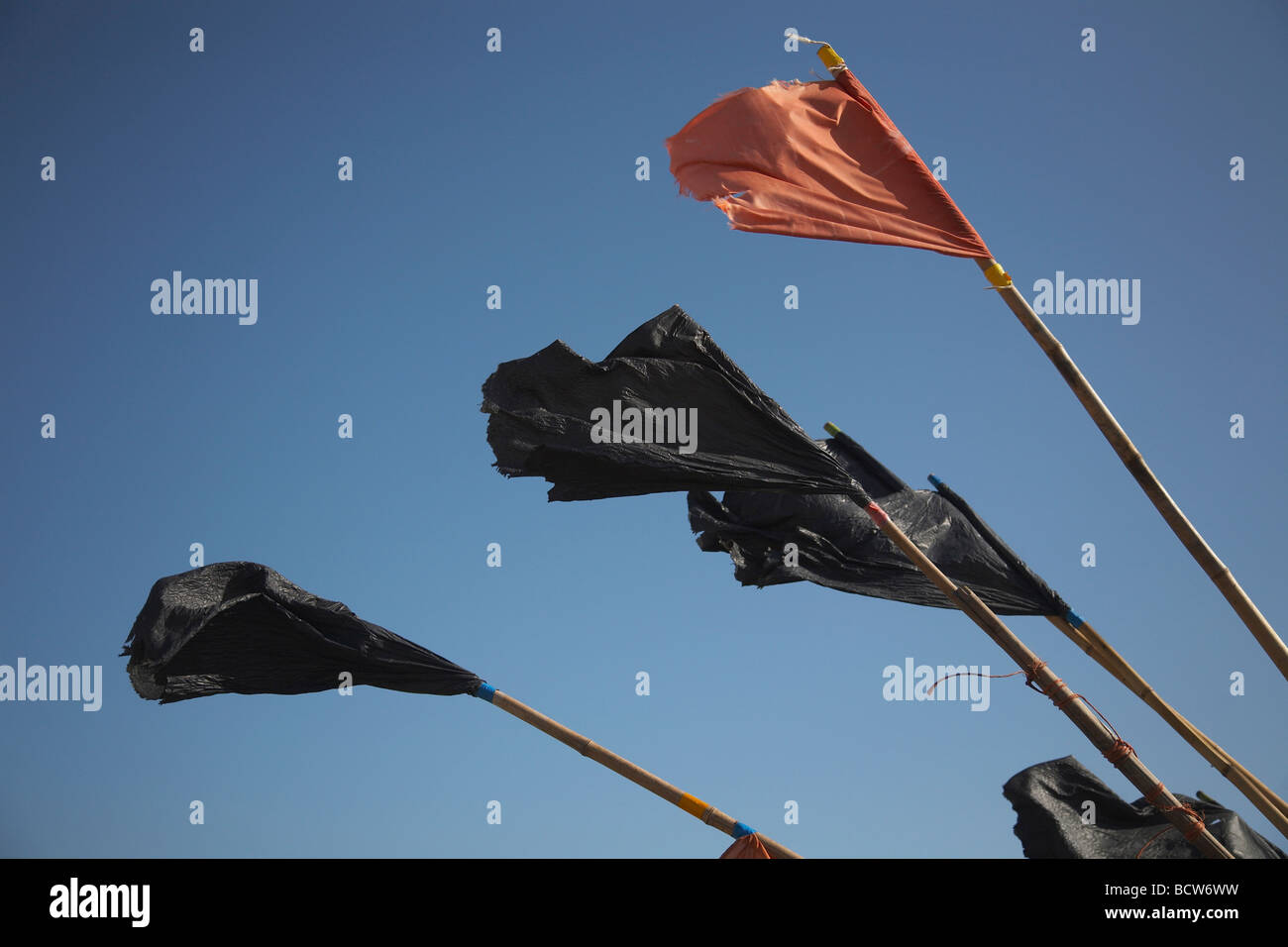 Fishermans flags flying in the wind Stock Photo Alamy