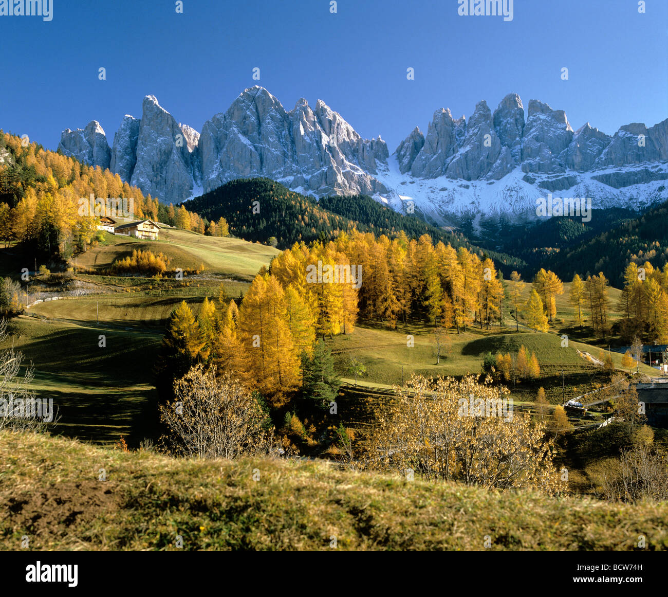 St. Magdalena, Geislergruppe mountains, larch trees, autumn, Villnoess valley, South Tyrol, Italy, Europe Stock Photo