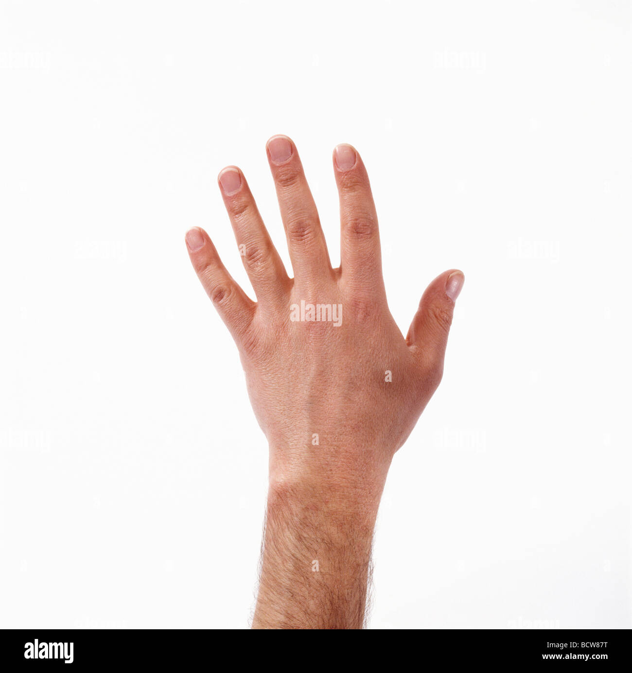 Hand five fingers spread hi-res stock photography and images - Alamy