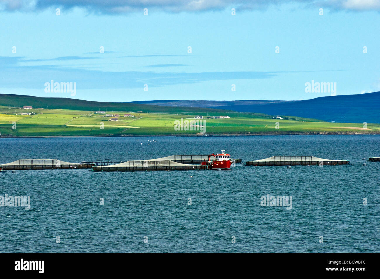 Fish farm scotland hires stock photography and images Alamy