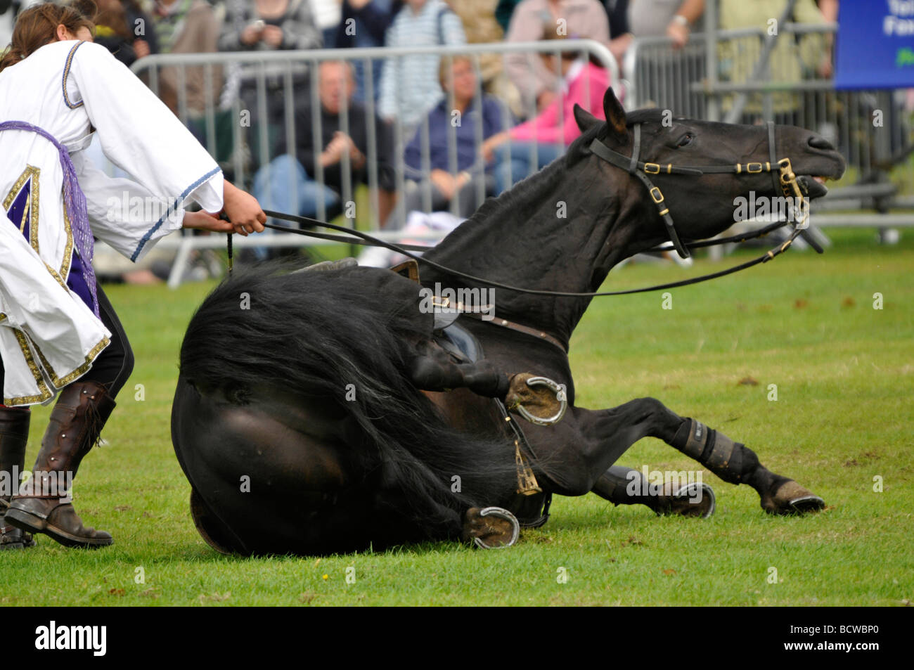 Horse riding display hires stock photography and images Alamy