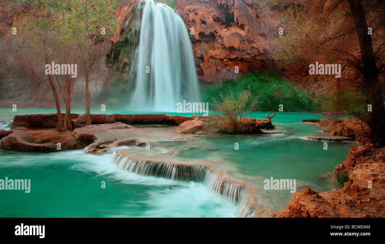 Waterfall in a forest, Havasu Falls, Havasupai Indian Reservation, Grand Canyon, Arizona, USA Stock Photo