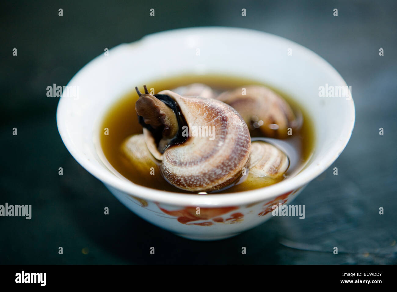 Snail soup hires stock photography and images Alamy