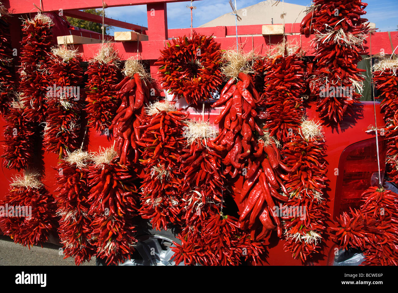 Strand of red chili peppers hanging on a pickup truck Stock Photo Alamy