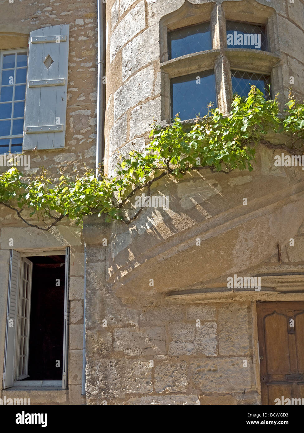 Altes Haus mit Fenster mit Weinreben in Vezelay old house with window and  grapevine Stock Photo - Alamy