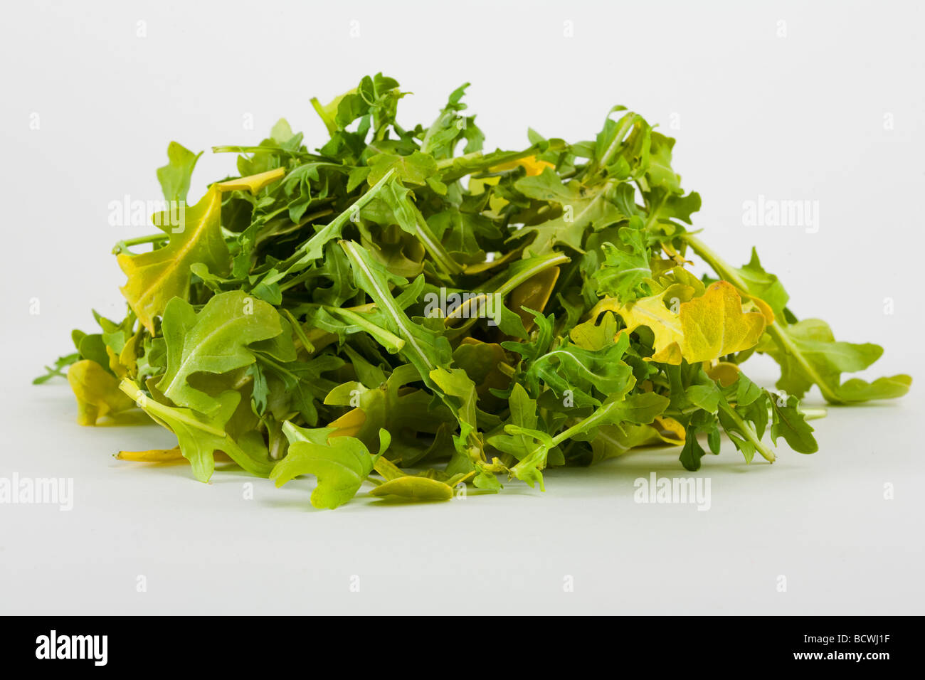 Roquette leaves hi-res stock photography and images - Alamy