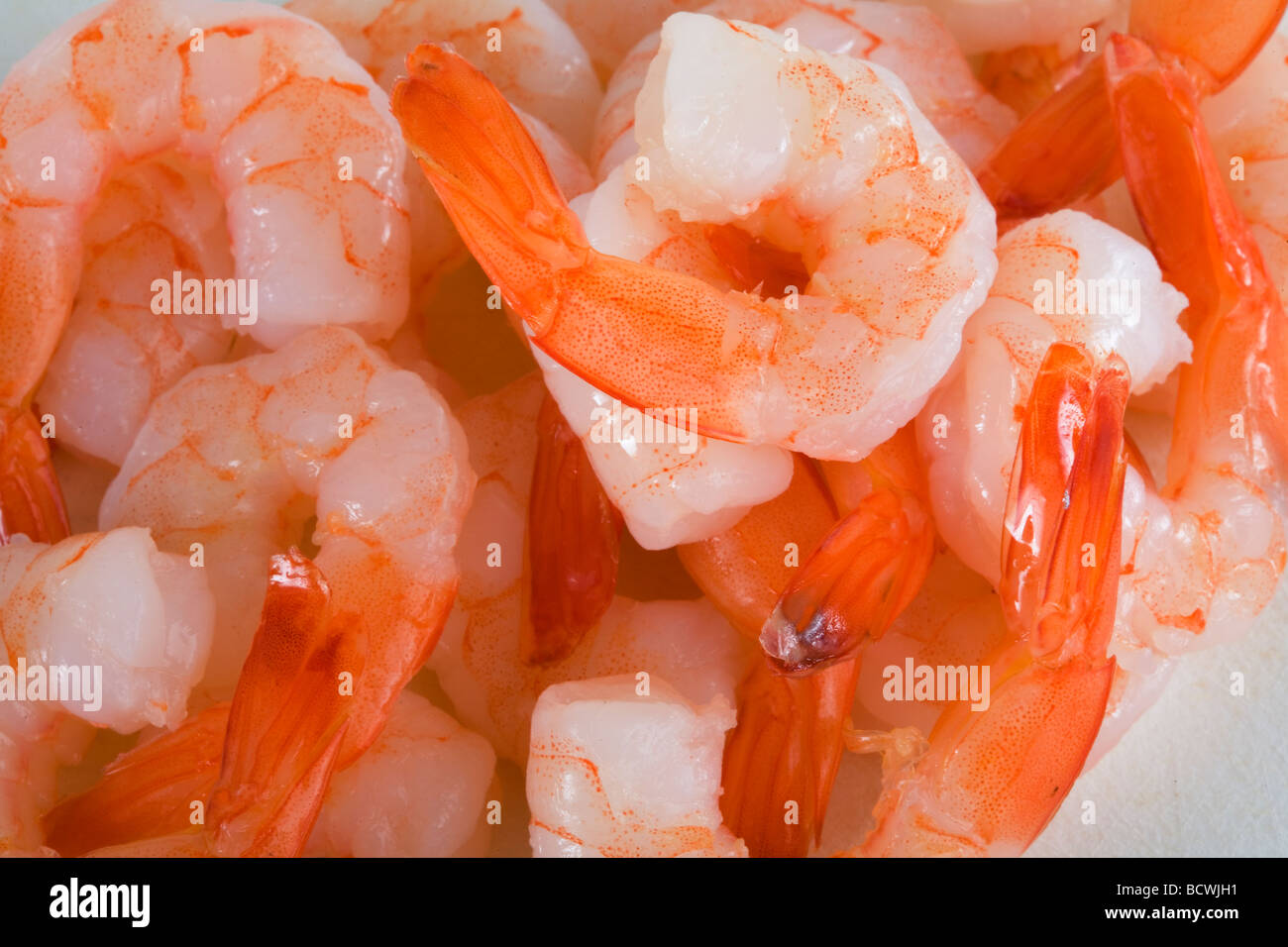 shrimp or prawns Stock Photo Alamy