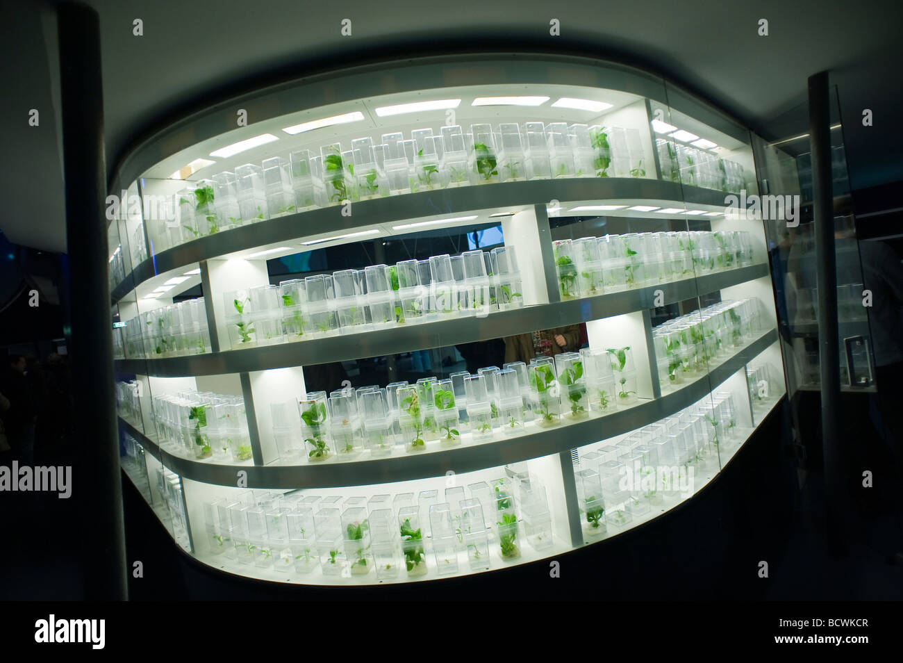 Austria Linz Ars Electronica Center BioLab Stock Photo