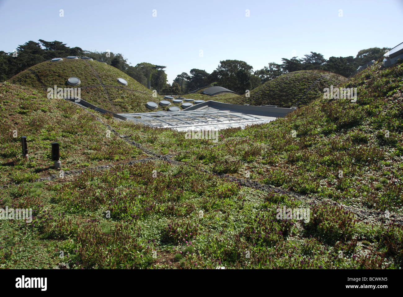 California Academy of Sciences in Golden Gate Park, San Francisco, California, USA Stock Photo