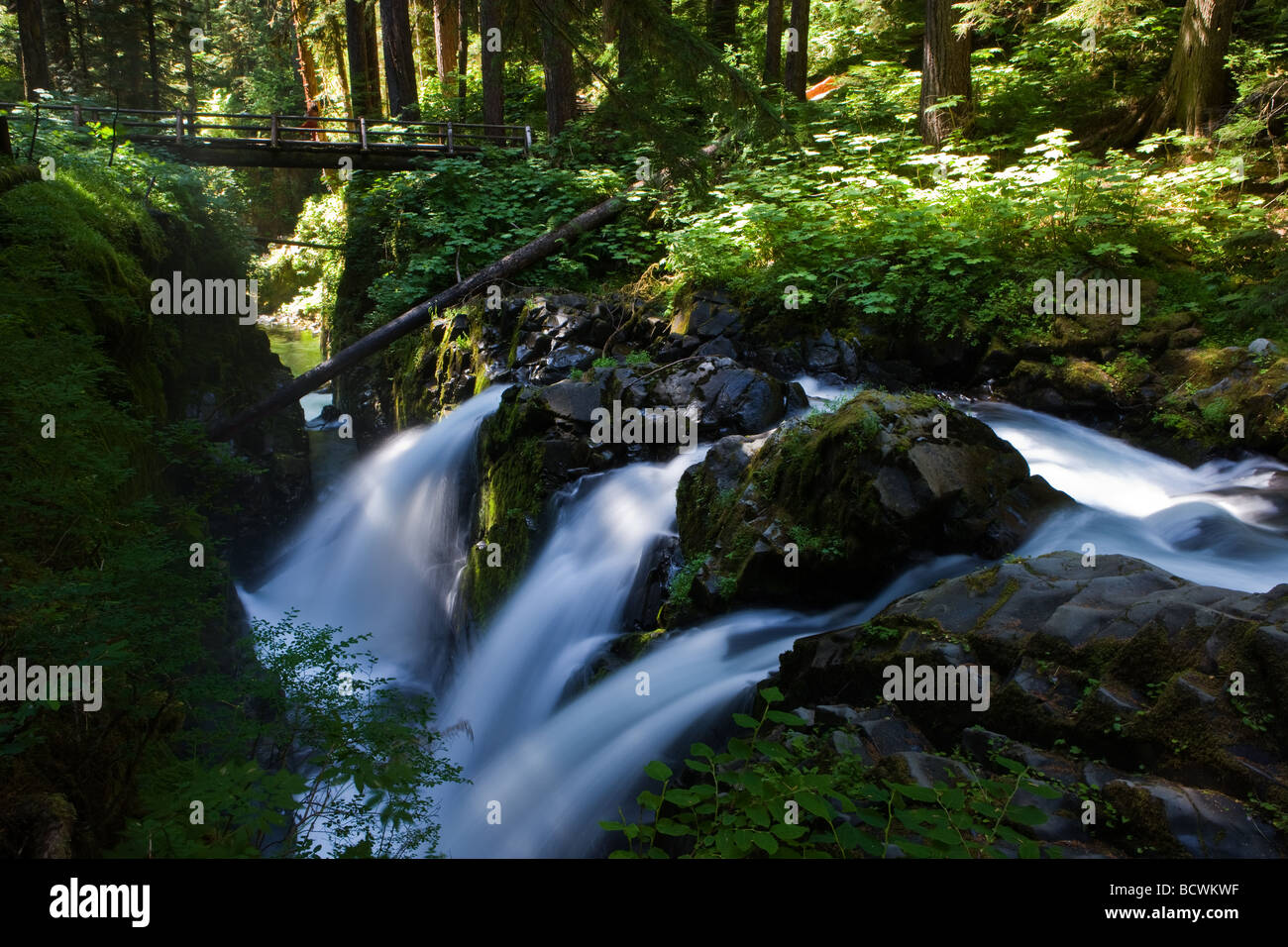 Sol Duc Falls in Olympic National Park Washington State USA Stock Photo