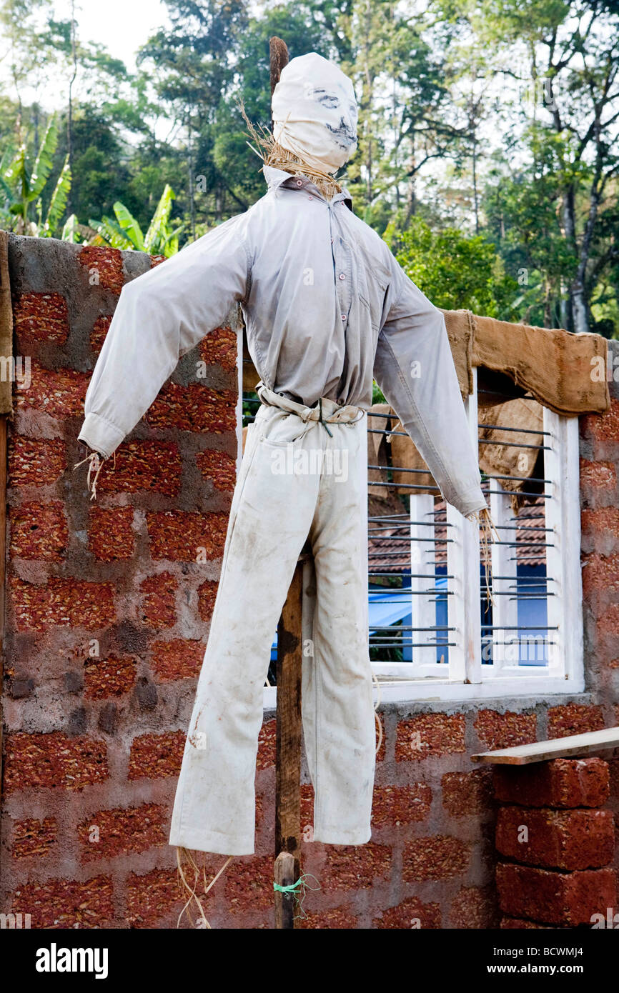 Scarecrow In Kerala India Stock Photo