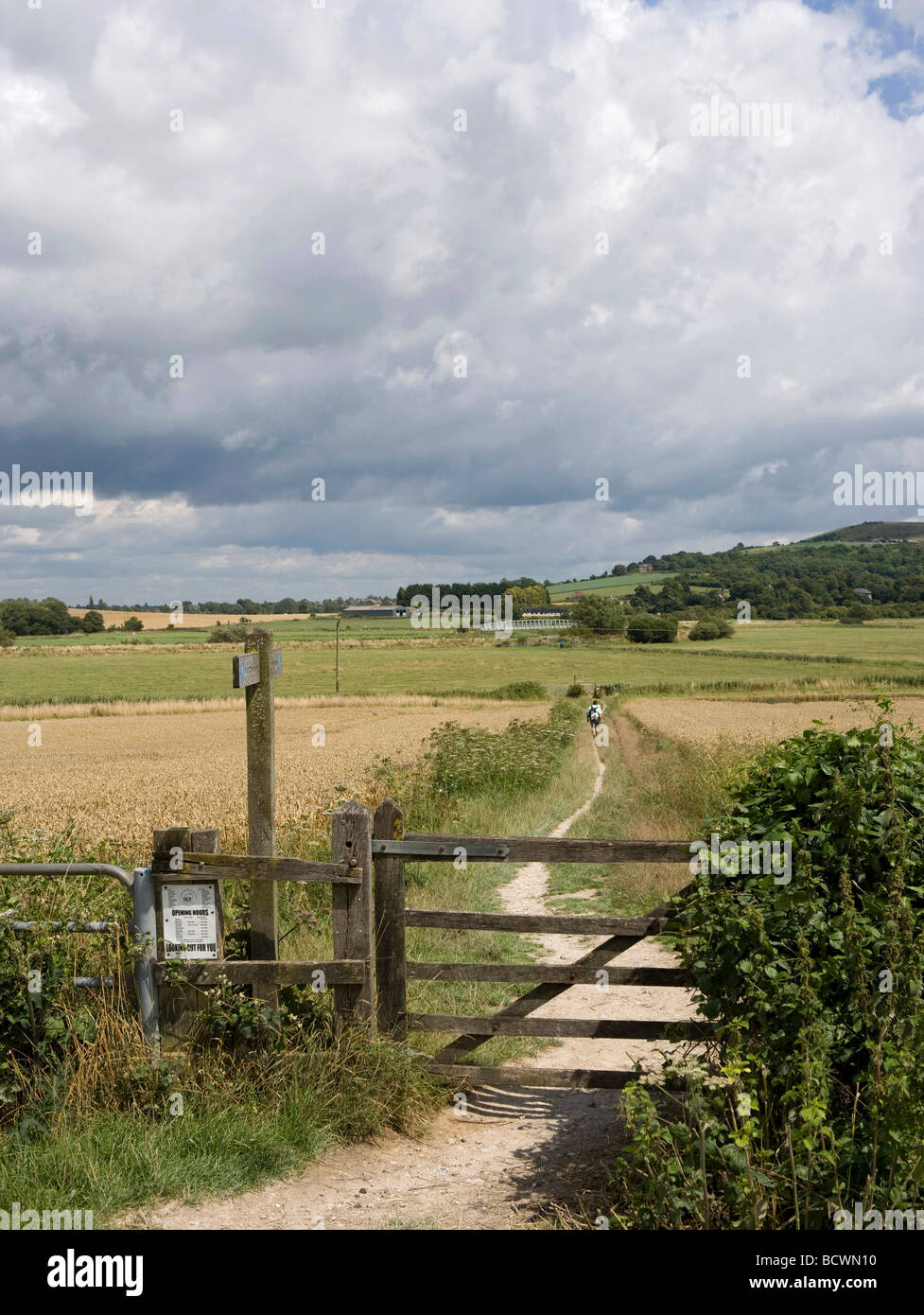 Walkers on the South Downs National Park at Amberley, West Sussex UK Stock Photo