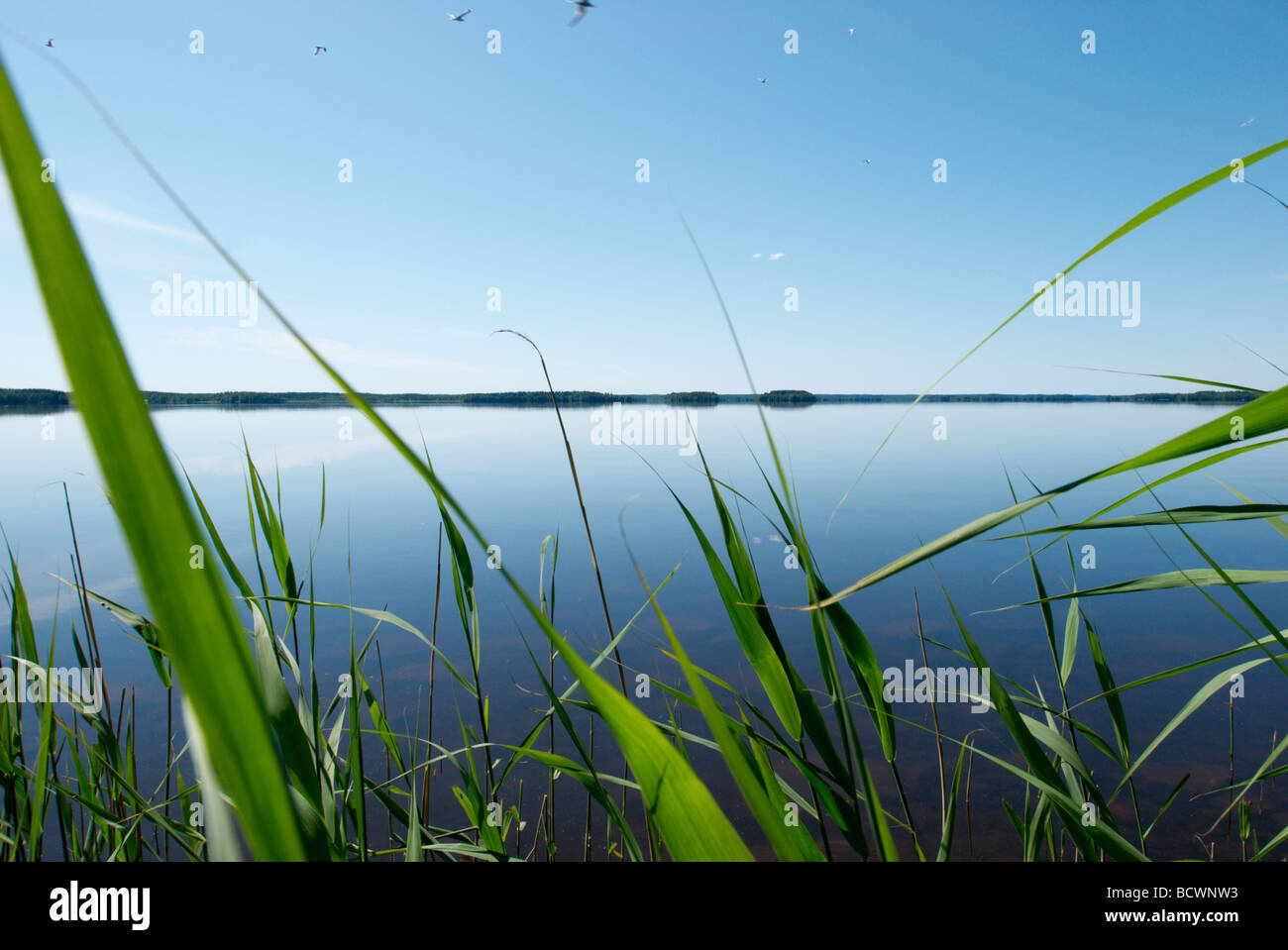 Calm lake and blue sky Stock Photo