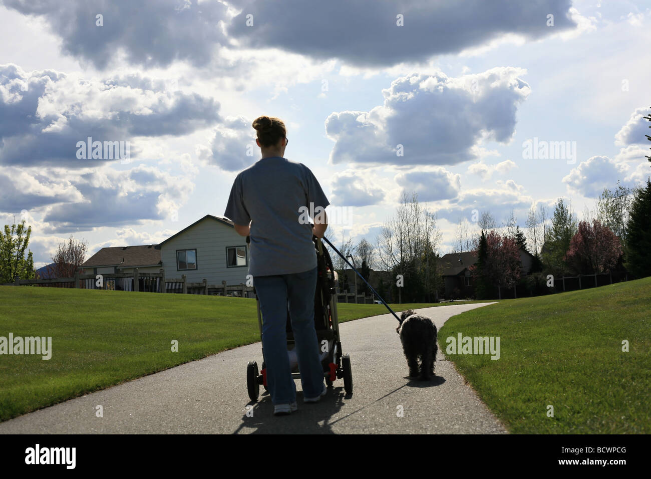 Mom pushing stroller and walking the dog in suburban neighborhoood Stock Photo
