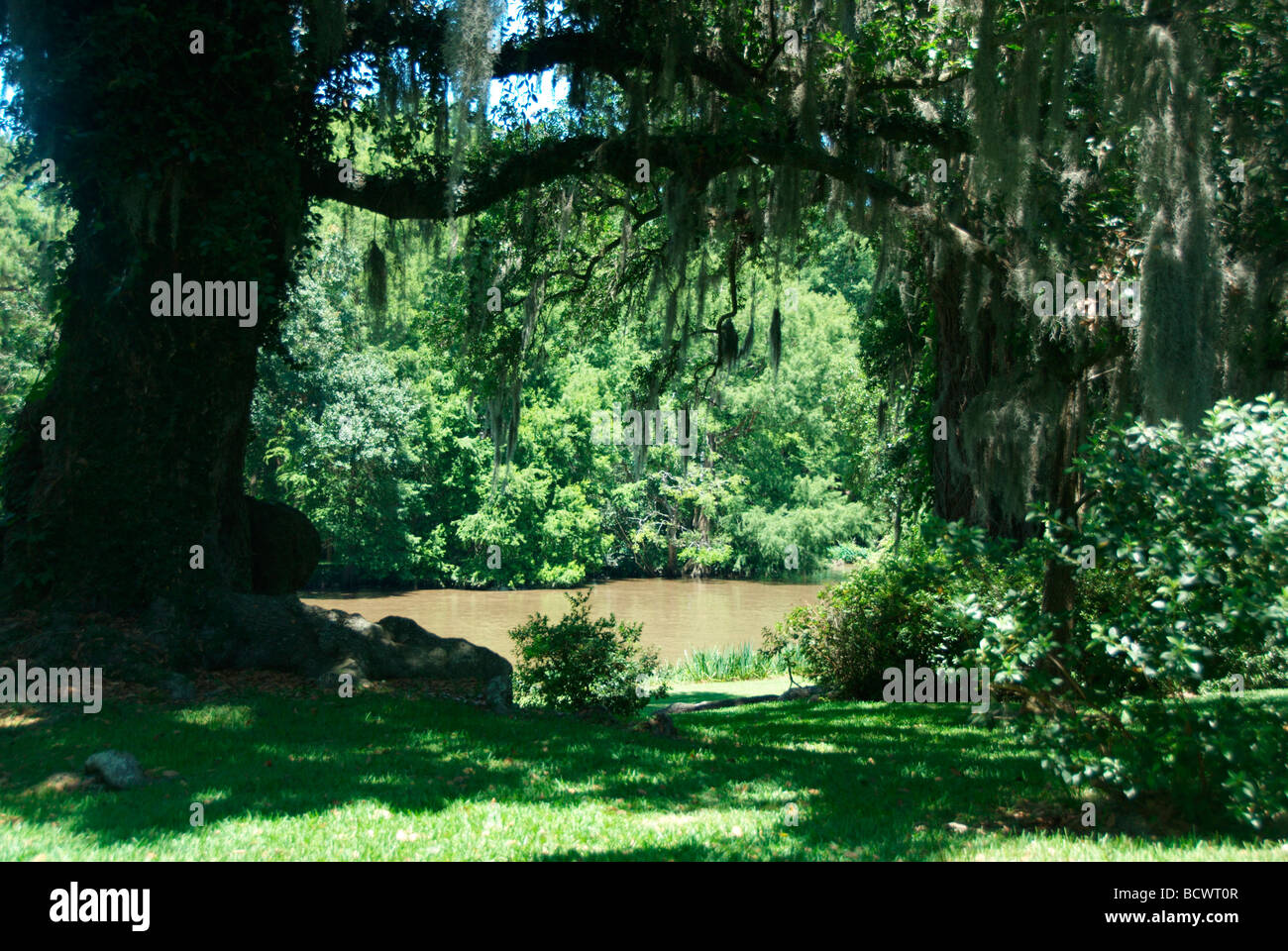 New iberia hires stock photography and images Alamy