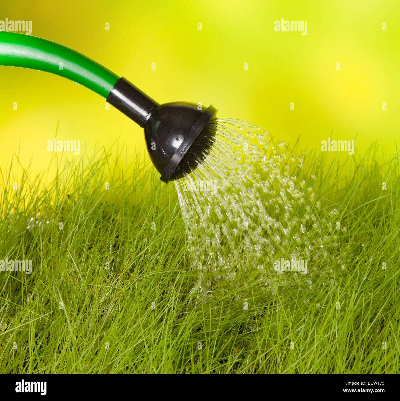 Green watering can pouring water on grass Stock Photo Alamy