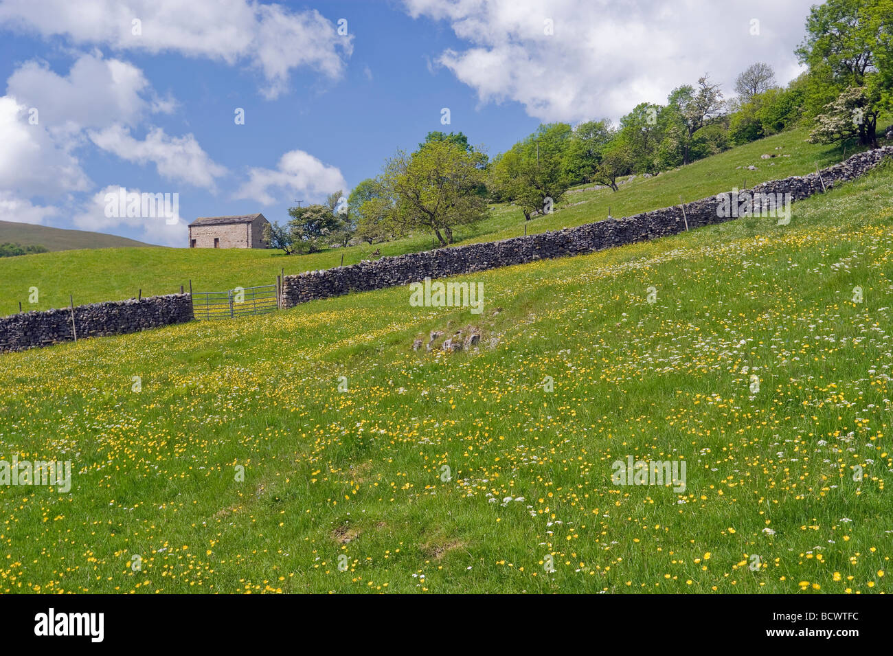 Langstrothdale in Yorkshire Dales North Yorkshire England Stock Photo