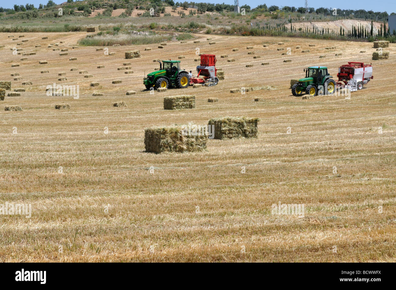 Tractors in field of straw baling small straw bales into larger ones at harvest time Stock Photo