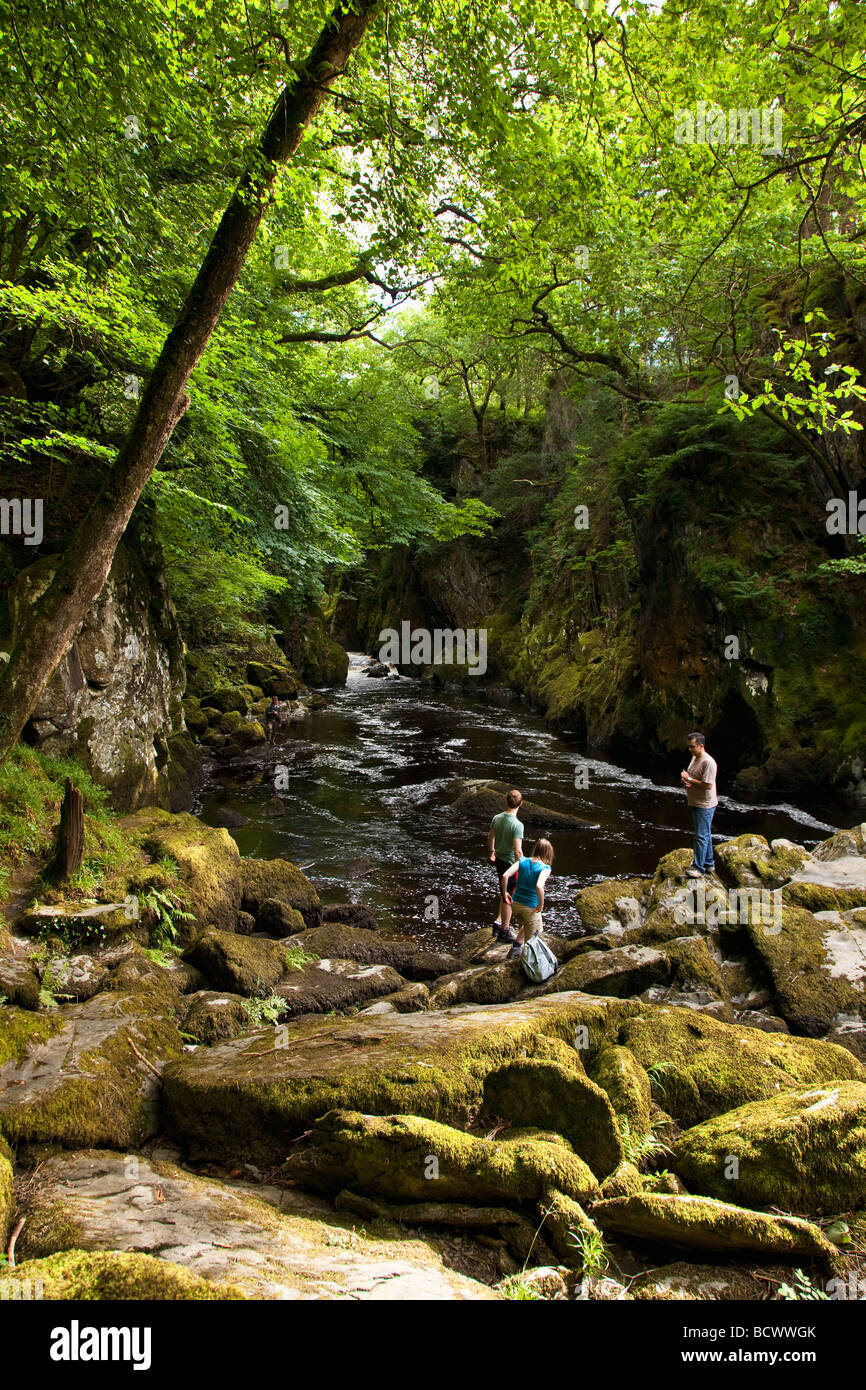 Visitors in the Fairy Glen Conwy River in summer July sunshine